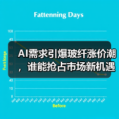 AI需求引爆玻纤涨价潮，谁能抢占市场新机遇？（图2）