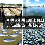 AI需求引爆玻纤涨价潮，谁能抢占市场新机遇？（图3）