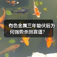 有色金属三年蛰伏后为何强势杀回赛道？（图3）