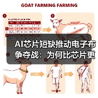 AI芯片短缺推动电子布争夺战：为何比芯片更稀缺？（图1）