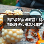 供应紧张需求旺盛！钨价飙升核心概念股年内翻倍（图3）