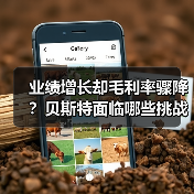 业绩增长却毛利率骤降？贝斯特面临哪些挑战？（图3）