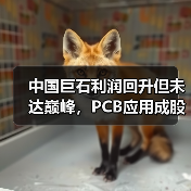 中国巨石利润回升但未达巅峰，PCB应用成股价暴涨主因？（图4）