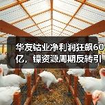 华友钴业净利润狂飙60亿，镍资源周期反转引爆股价137%（图3）