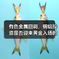 有色金属回调，铜铝投资是否迎来黄金入场时机？（图4）