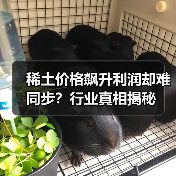 稀土价格飙升利润却难同步？行业真相揭秘（图1）
