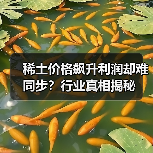 稀土价格飙升利润却难同步？行业真相揭秘（图2）