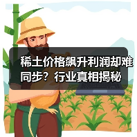 稀土价格飙升利润却难同步？行业真相揭秘（图4）