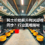 稀土价格飙升利润却难同步？行业真相揭秘（图3）