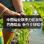 中国铝业联手力拓收购巴西铝业 争夺全球铝市主导权（图4）