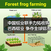 中国铝业联手力拓收购巴西铝业 争夺全球铝市主导权（图3）