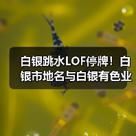 白银跳水LOF停牌！白银市地名与白银有色业务真相（图2）