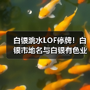 白银跳水LOF停牌！白银市地名与白银有色业务真相（图1）