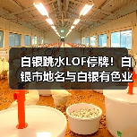 白银跳水LOF停牌！白银市地名与白银有色业务真相（图3）