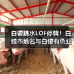 白银跳水LOF停牌！白银市地名与白银有色业务真相（图4）