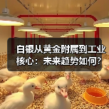 白银从黄金附属到工业核心：未来趋势如何？（图4）