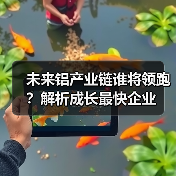 未来铝产业链谁将领跑？解析成长最快企业（图3）