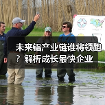 未来铝产业链谁将领跑？解析成长最快企业（图4）