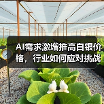 AI需求激增推高白银价格，行业如何应对挑战？（图1）