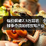 铝价飙破2.5万背后：全球争夺战如何改写产业格局？（图2）