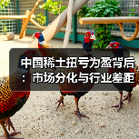 中国稀土扭亏为盈背后：市场分化与行业差距如何？（图1）