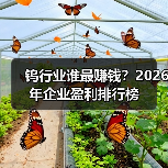 钨行业谁最赚钱？2026年企业盈利排行榜（图4）