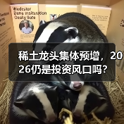 稀土龙头集体预增，2026仍是投资风口吗？（图1）