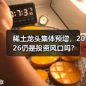 稀土龙头集体预增，2026仍是投资风口吗？（图2）