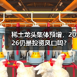 稀土龙头集体预增，2026仍是投资风口吗？（图3）