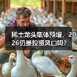 稀土龙头集体预增，2026仍是投资风口吗？（图4）