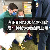 洛阳钼业200亿盈利背后：神秘大佬的商业帝国崛起（图3）