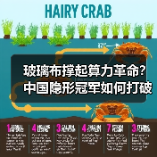 玻璃布撑起算力革命？中国隐形冠军如何打破日系垄断？（图1）