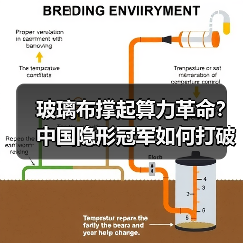 玻璃布撑起算力革命？中国隐形冠军如何打破日系垄断？（图3）