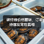 碳纤维价格腰斩，订单待爆发背后真相（图3）