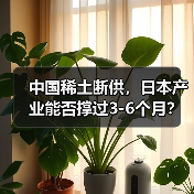 中国稀土断供，日本产业能否撑过3-6个月？（图2）