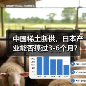 中国稀土断供，日本产业能否撑过3-6个月？（图3）