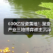 600亿投资落地!聚变产业三地博弈谁主沉浮?(图1) 600亿投资落地!聚变产业三地博弈谁主沉浮?(图1)