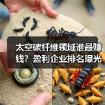太空碳纤维领域谁最赚钱?盈利企业排名曝光(图1) 太空碳纤维领域谁最赚钱?盈利企业排名曝光(图1)