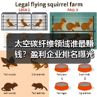 太空碳纤维领域谁最赚钱?盈利企业排名曝光(图3) 太空碳纤维领域谁最赚钱?盈利企业排名曝光(图3)