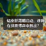 钴业新周期启动,谁将在供需博弈中胜出?(图2) 钴业新周期启动,谁将在供需博弈中胜出?(图2)