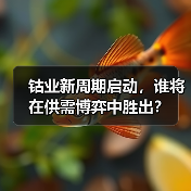 钴业新周期启动,谁将在供需博弈中胜出?(图3) 钴业新周期启动,谁将在供需博弈中胜出?(图3)