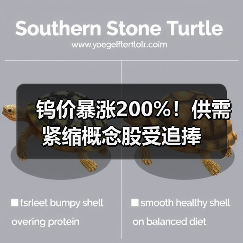 钨价暴涨200%！供需紧缩概念股受追捧（图1）