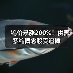 钨价暴涨200%！供需紧缩概念股受追捧（图3）