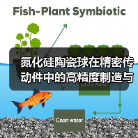 氮化硅陶瓷球在精密传动件中的高精度制造与应用(图2) 氮化硅陶瓷球在精密传动件中的高精度制造与应用(图2)
