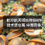 航空航天减振降噪材料技术壁垒高 中国竞争力持续增强(图2) 航空航天减振降噪材料技术壁垒高 中国竞争力持续增强(图2)