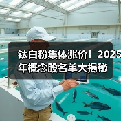 钛白粉集体涨价!2025年概念股名单大揭秘(图3) 钛白粉集体涨价!2025年概念股名单大揭秘(图3)