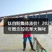 钛白粉集体涨价!2025年概念股名单大揭秘(图4) 钛白粉集体涨价!2025年概念股名单大揭秘(图4)