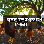 铜互连工艺如何突破性能瓶颈?(图1) 铜互连工艺如何突破性能瓶颈?(图1)