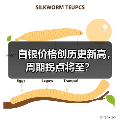 白银价格创历史新高,周期拐点将至?(图3) 白银价格创历史新高,周期拐点将至?(图3)