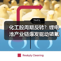 化工股周期反转?锂电池产业链爆发驱动磷氟化工强势上涨(图4) 化工股周期反转?锂电池产业链爆发驱动磷氟化工强势上涨(图4)